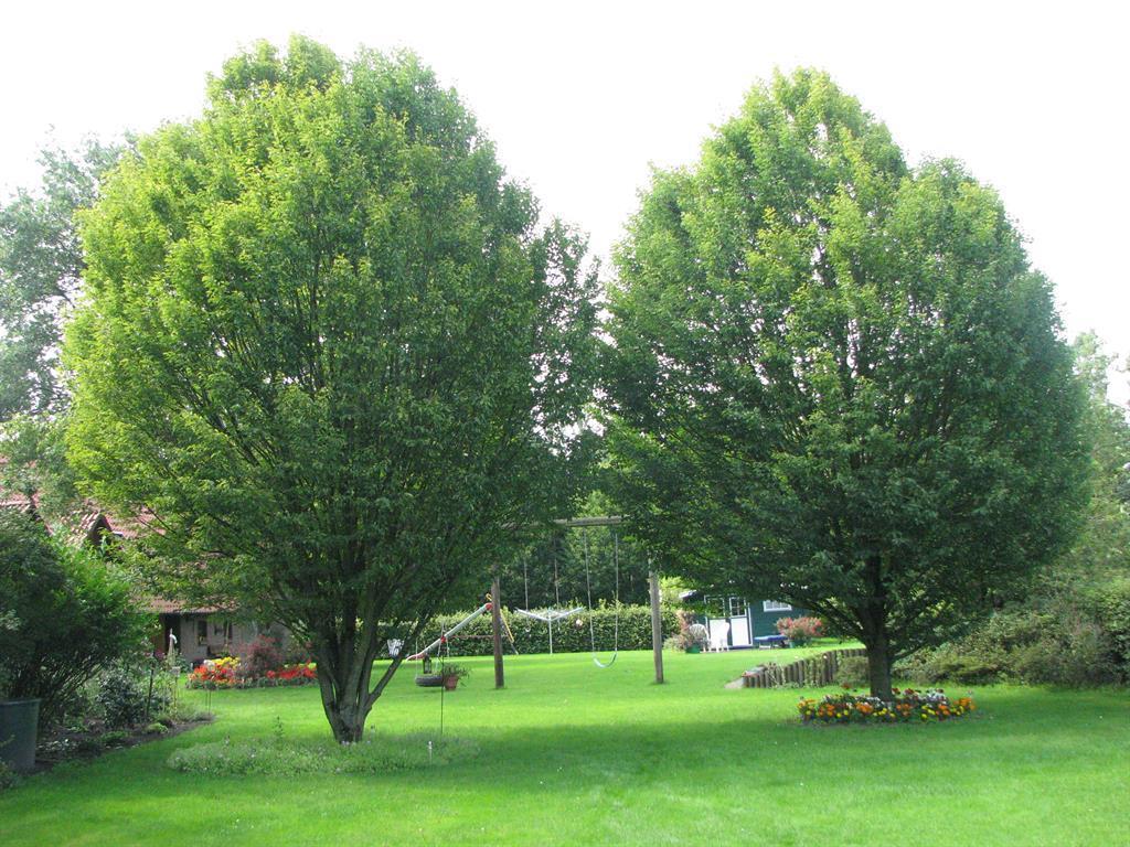 Urlaubsdomizil Im Gruenen Apartamento Westerstede Exterior foto